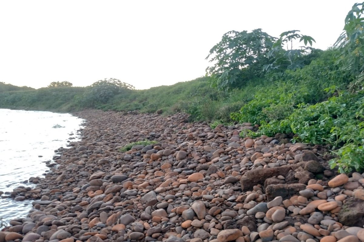 Univates recebe capacitação em restauração ecológica para recuperar áreas